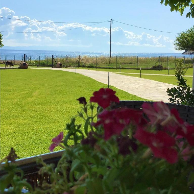 Case de vacanță Daphnes